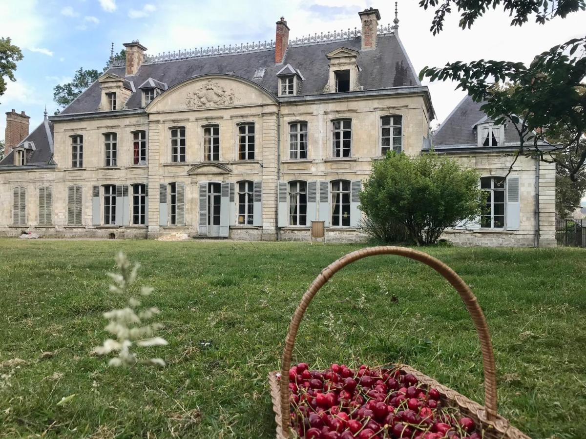 Chateau De Contay Guesthouse - 1753 Buitenkant foto