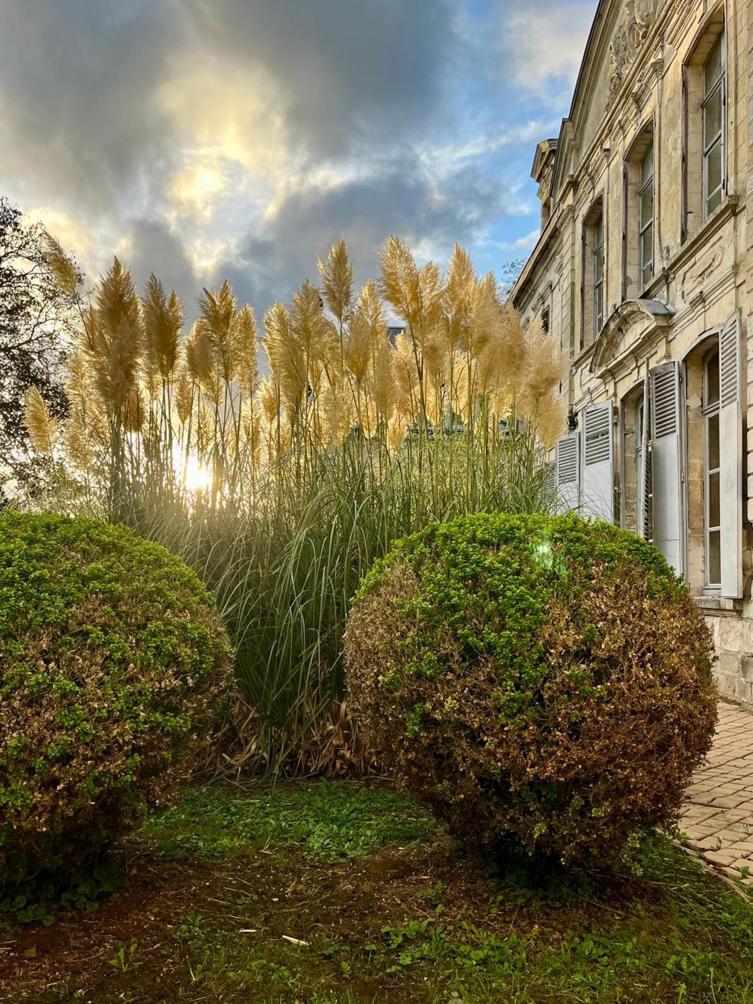 Chateau De Contay Guesthouse - 1753 Buitenkant foto